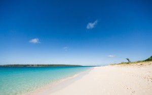 MIYAKO85_maehamab20140726_TP_V