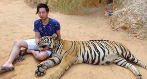 スクリーンショット 2016-01-24 2.32.57